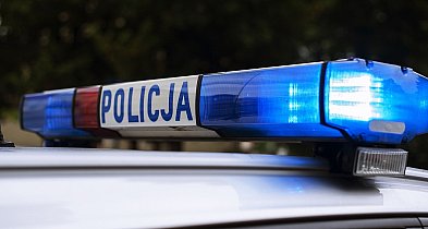 Nie dawała oznak życia, potrzebna była interwencja straży-80758