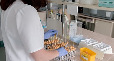 Idealny sprzęt laboratoryjny - czym powinien się charakteryzować?-80848