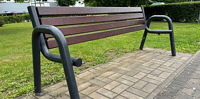 Kto poluje na ławki w Śremie?-80855