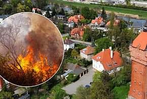 Nowy plan adaptacji Śremu do zmian klimatu. Radni podjęli decyzję-81014