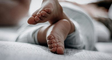 Małe stopy, wielka sprawa – buty Krasnal w trosce o pierwszy krok-81806