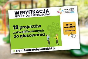 Odrzucono pięć projektów. Budżet Obywatelski Śremu już po weryfikacji-82440