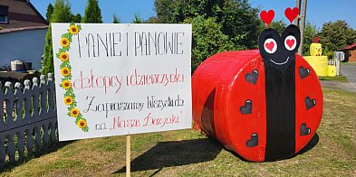 Mchy szykują Dożynki. We wsi widać już dekoracje -82467