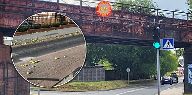 Pijany kierowca ciężarówki uderzył w wiadukt i próbował uciekać-82606
