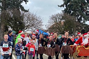 Festiwal Piernika w Dolsku-5720