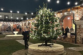 Jarmark Adwentowy w KCEK w Śremie-5734