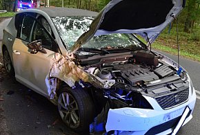Prędkość pogrążyła młodego kierowcę. Jazdę zakończył na drzewie-82997