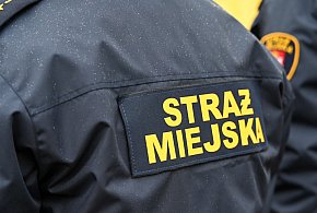 Zapuka strażnik, zapłacisz karę. Ruszyły kontrole w całej Polsce-83674