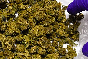 Śremscy kryminalni zatrzymali 28-letniego mieszkańca gminy Gostyń-84125