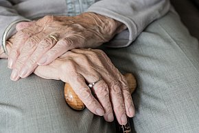 Te osoby dostaną dwie emerytury w grudniu. ZUS przesuwa przelewy-84739