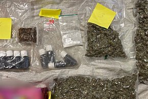 Narkotyki schowane pod tonami zboża – cztery osoby usłyszały zarzuty.-84936