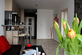 Rewolucja w wynajmie na doby. Nadchodzi koniec "wolnej amerykanki"-85102