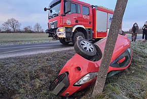 Groźne dachowanie w Taniecznicy - Dwie nastolatki poszkodowane!-85428
