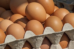 Salmonella wykryta w jajach! GIS wydał pilne ostrzeżenie-85468
