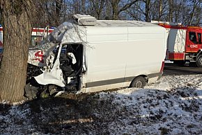 Dramatyczny wypadek w Szelejewie Drugim. Bus uderzył w drzewo, interweniowało LPR-85975