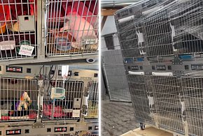 Moc ratowania życia w Gaju - Do schroniska trafił inkubator i szafa grzewcza!-86002