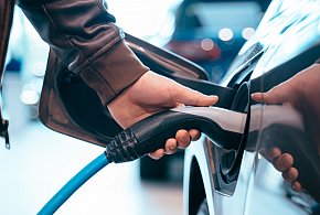 Coraz częściej dochodzi do takich kradzieży. Powody zaskakują-86291