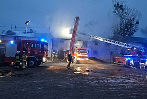 Płonął budynek inwentarski! Ewakuowano kilkadziesiąt zwierząt