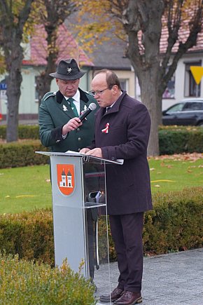 Święto Niepodległości w Książu Wlkp.-5656