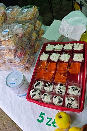 Akcja charytatywna-5668