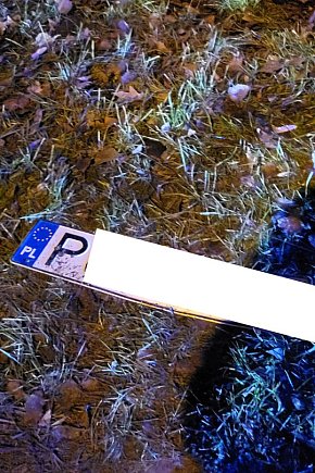 Sprawca zbiegł-5807