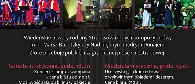 Koncert Noworoczny w KCEK w Śremie-1352