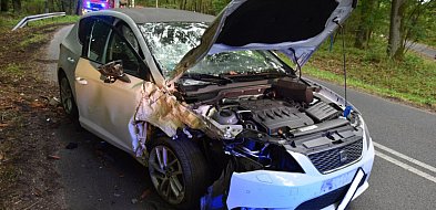 Prędkość pogrążyła młodego kierowcę. Jazdę zakończył na drzewie-82997