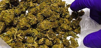 Śremscy kryminalni zatrzymali 28-letniego mieszkańca gminy Gostyń-84125