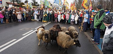 Orszak Trzech Króli 2026 w Śremie - NSJ w Śremie zaprasza!-85834
