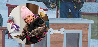 Doda z wyjątkowym prezentem dla Schroniska w Gaju. 25 nowych bud dla czworonogów!