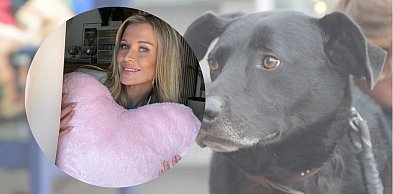 Wielkie serce w mroźne dni. Joanna Krupa wspiera schronisko w Gaju