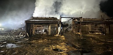 Nocna walka o życie zwierząt w Mościszkach - Przez pożar zginęło 20 byków