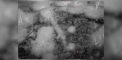 Zapadała się w trzęsawisku po pas w Parku Puchalskiego. Odnalazł ją dron