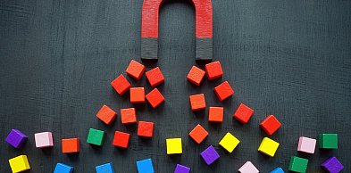 Jak wybrać sklep z magnesami — poradnik zakupowy