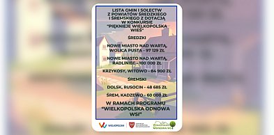 Kadzewo i Rusocin z dofinansowaniem! Wyniki wielkopolskiego programu
