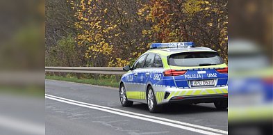 Drift i deportacja dla kierowcy i pasażera - Akcja policji w Dolsku