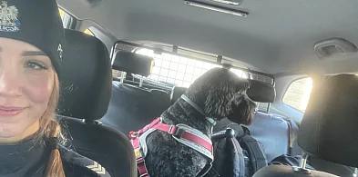 Strach w oczach i merdający ogon na koniec. Śremscy policjanci uratowali Tosię-85741