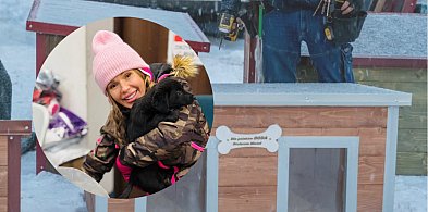 Doda z wyjątkowym prezentem dla Schroniska w Gaju. 25 nowych bud dla czworonogów!