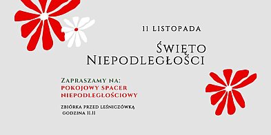 Pokojowy spacer niepodległościowy.-84059
