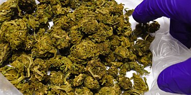 Śremscy kryminalni zatrzymali 28-letniego-84125