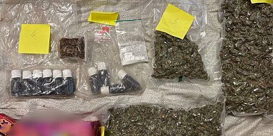 Narkotyki schowane pod tonami zboża – cztery osoby usły-84936