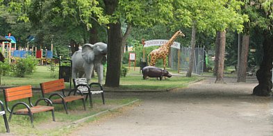 Dziecko w Śremie. Gdzie na spacer i zabawę?-85008