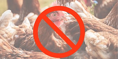 Ostrzeżenie od Powiatowego Lekarza Weterynarii - Ryzyko-85302