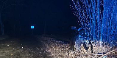 Pijany kierowca uderzył w drzewo - Skrajna nieodpowiedz-85714