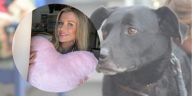 Wielkie serce w mroźne dni. Joanna Krupa wspiera schron