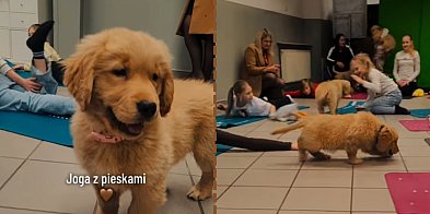 Joga, która merda ogonem! Ciekawe zajęcia w śremskiej p