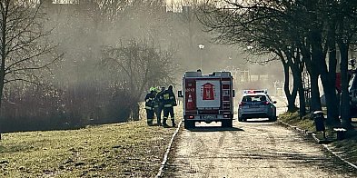 Próba samobójcza w Parku im. W. Puchalskiego w Śremie.