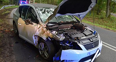 Prędkość pogrążyła młodego kierowcę. Jazdę zakończył na drzewie-82997