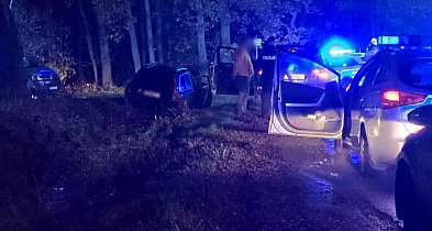 W powiecie gostyńskim miały paść strzały. Trwa policyjna obława-84041