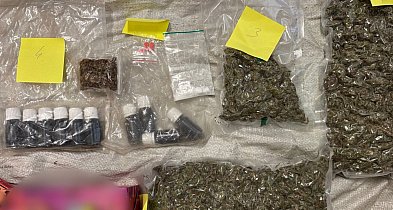Narkotyki schowane pod tonami zboża – cztery osoby usłyszały zarzuty.-84936